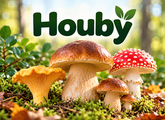 Houbyssssss